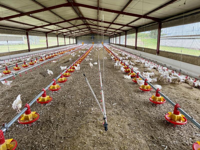 0 Bedroom Property for Sale in Harrismith Free State